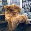 Isländisches Lammfell - Ginger