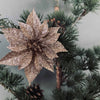 Weihnachtsstern Champagner mit Glitzer