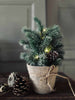 Weihnachtsbaum im Topf mit Schnee - inkl. Lichterkette
