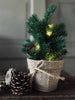 Weihnachtsbaum im Topf ohne Schnee – inkl. Lichterkette