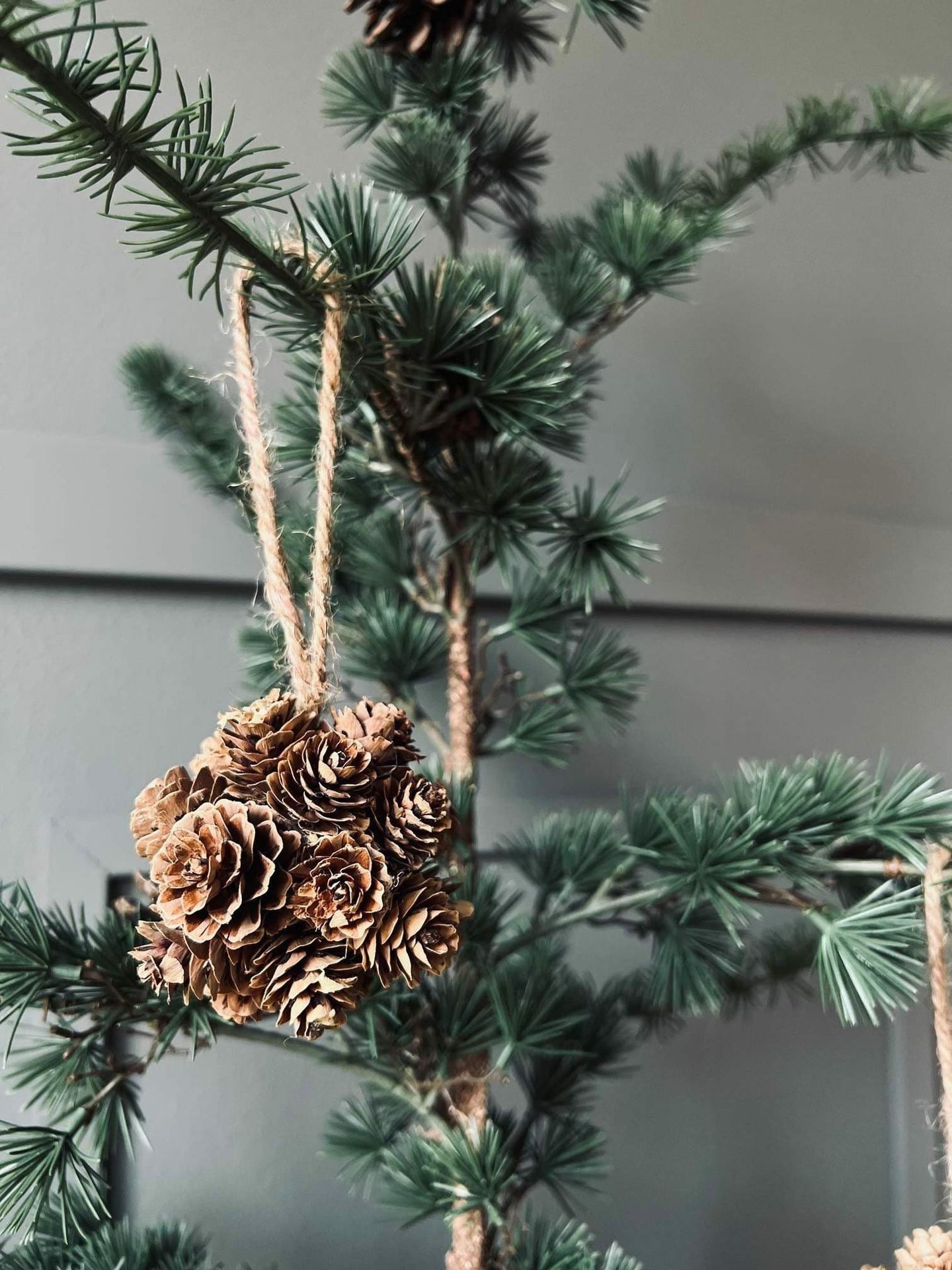 Kogle kugle med ophæng - VIAMAJA.DK