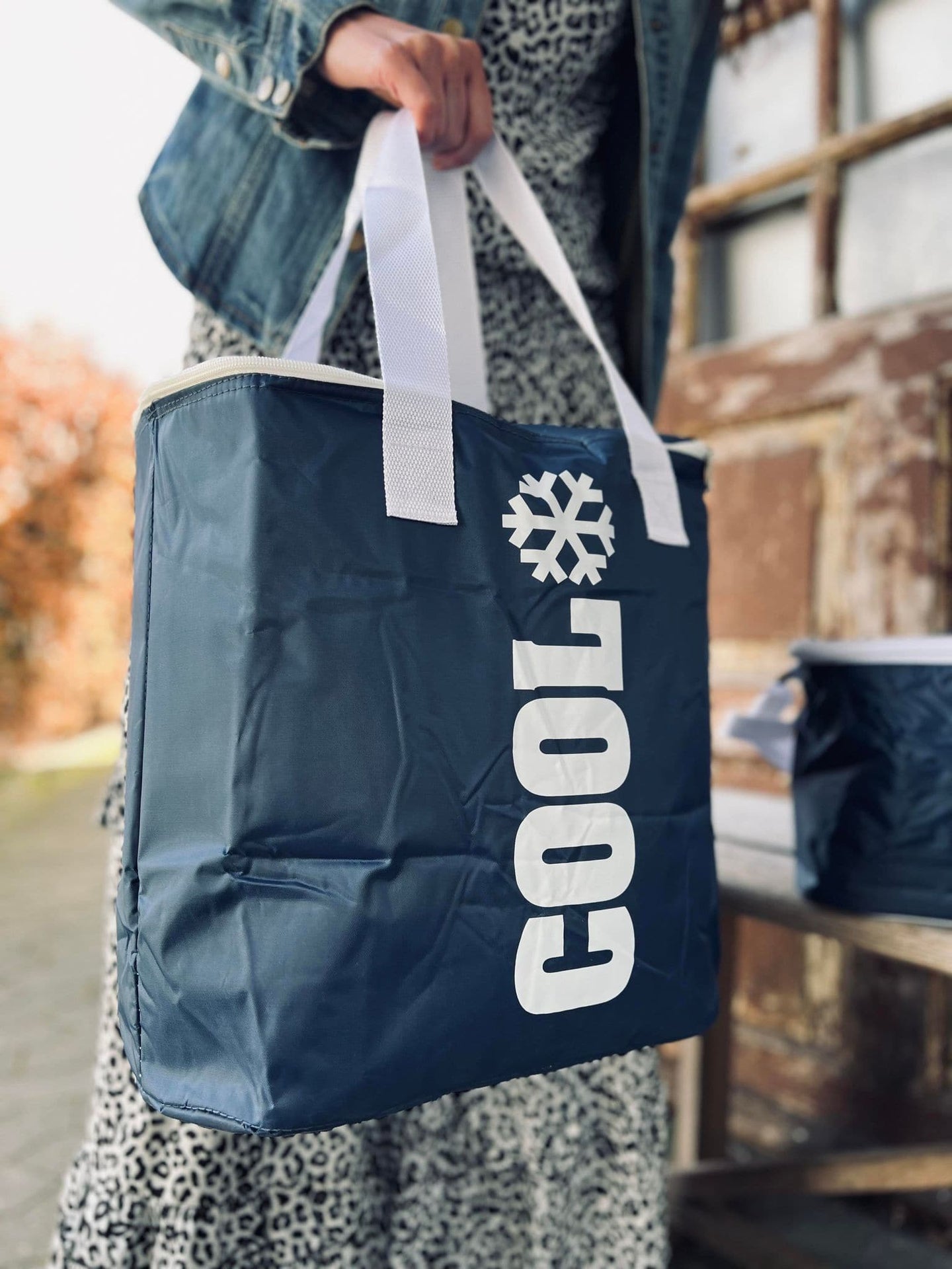 Køletaske - Blå 24 liter - VIAMAJA.DK