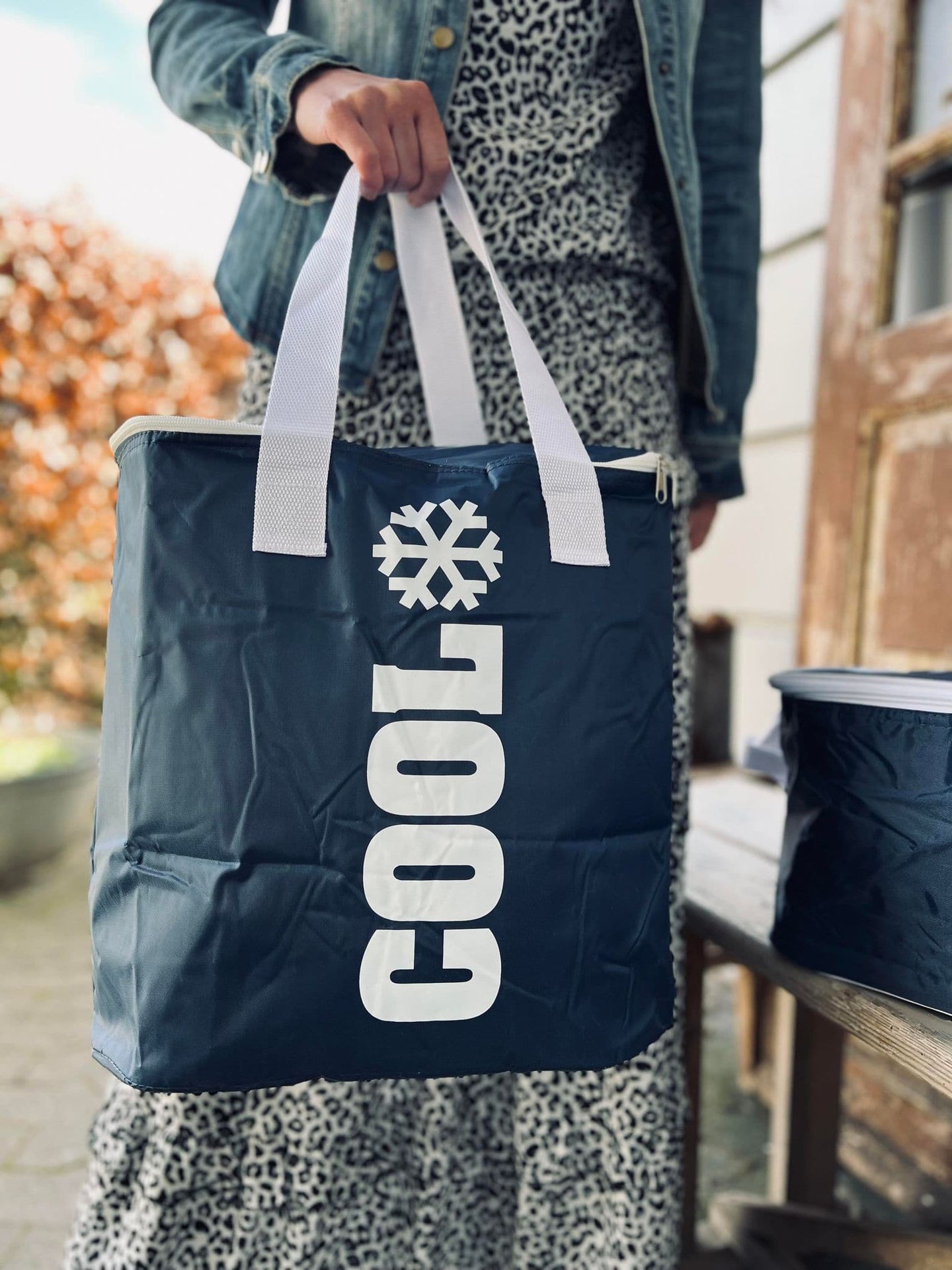 Køletaske - Blå 24 liter - VIAMAJA.DK