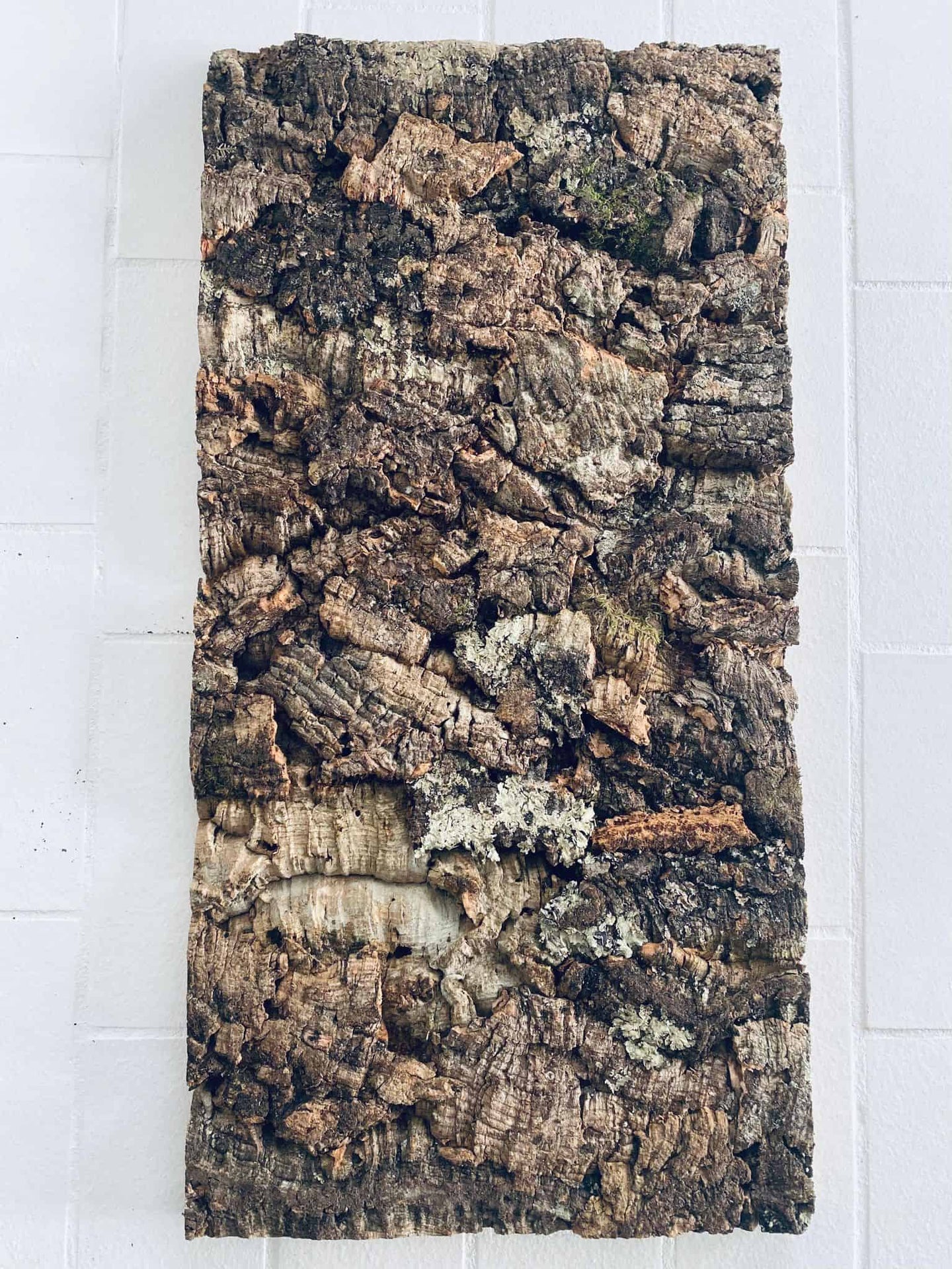 Korkplade deluxe 30×60 – Nature - VIAMAJA.DK