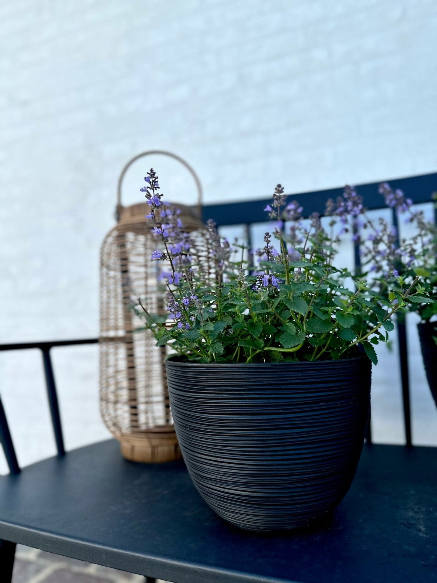 Blumentopf mit Rillen, klein, schwarz - VIAMAJA.DK