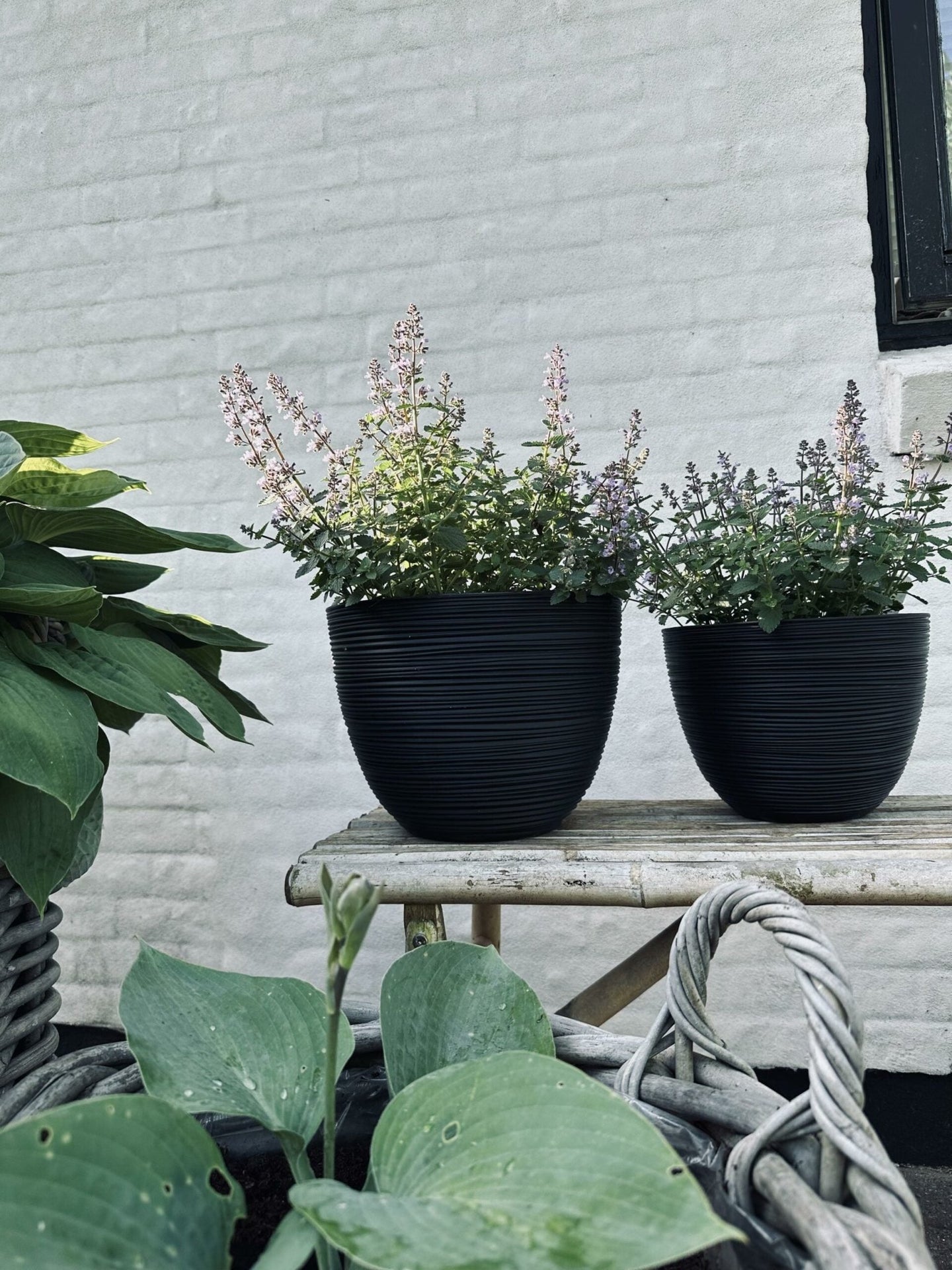 Blumentopf mit Rillen, klein, schwarz - VIAMAJA.DK