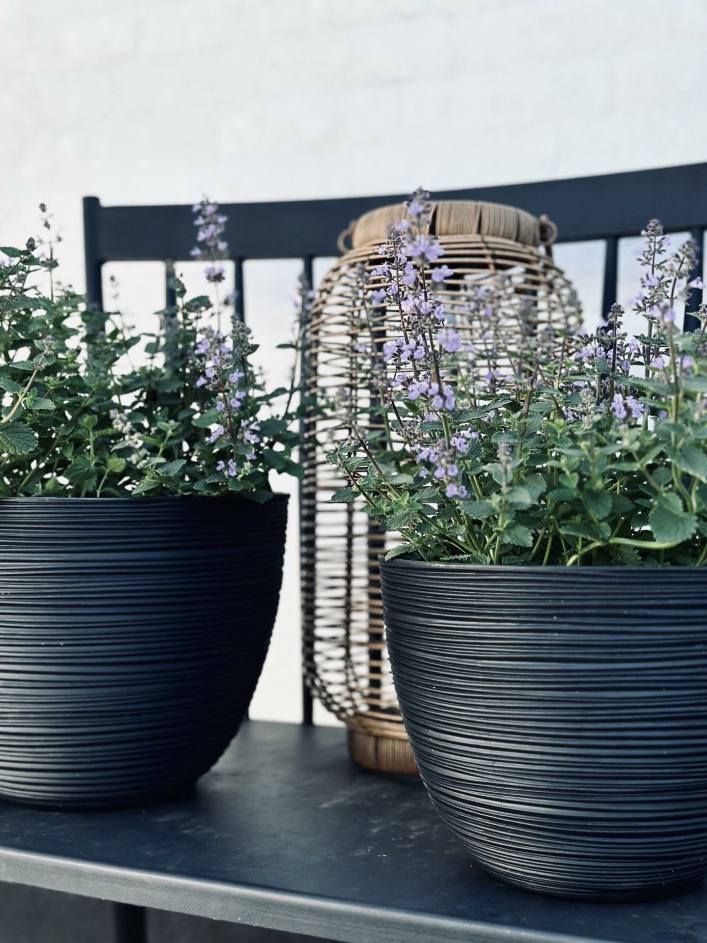 Blumentopf mit Rillen, klein, schwarz - VIAMAJA.DK