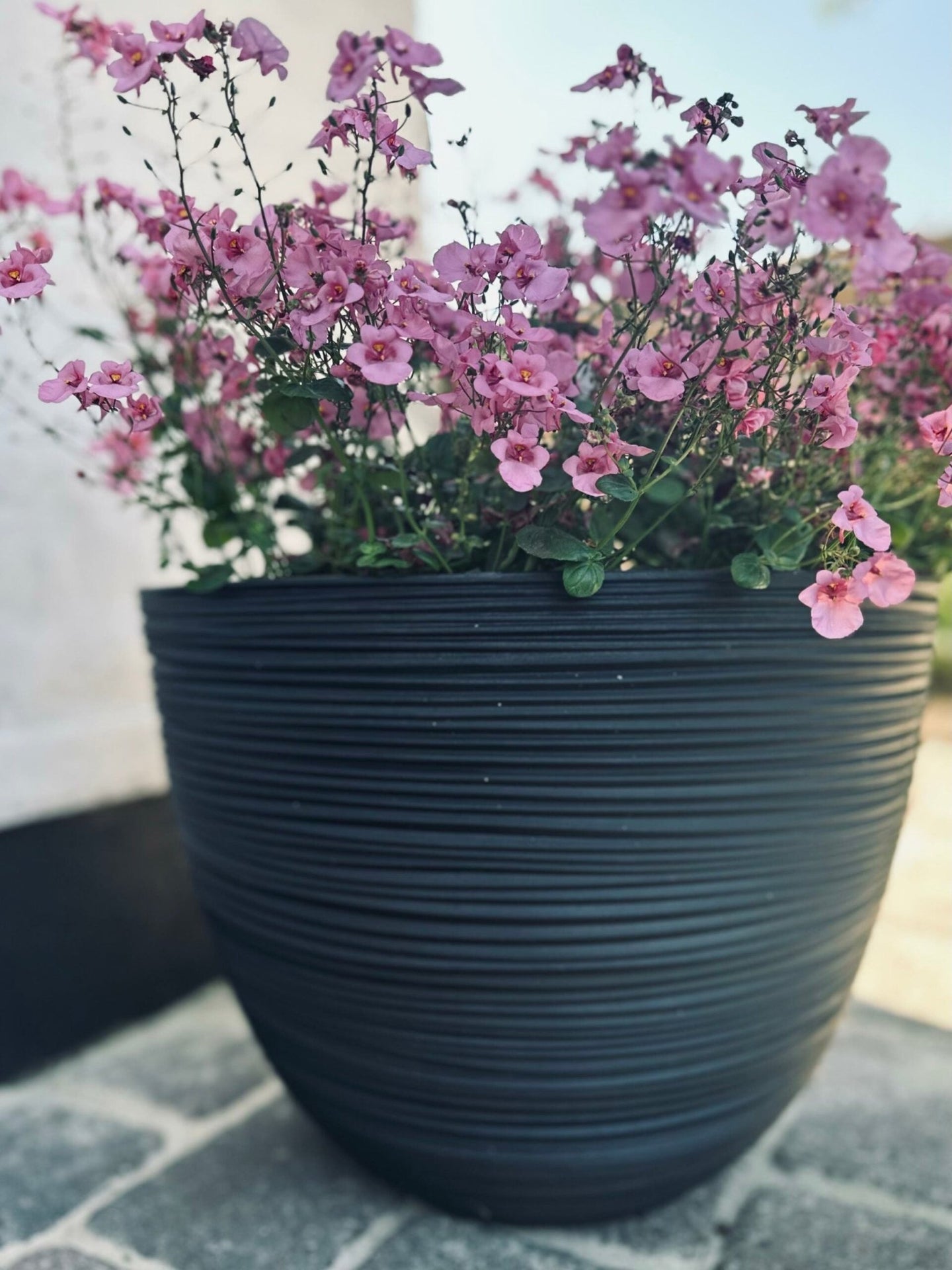 Gerillter Blumentopf, schwarz XL - VIAMAJA.DK