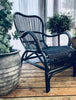 Sessel - 2 Stück - ABHOLANGEBOT