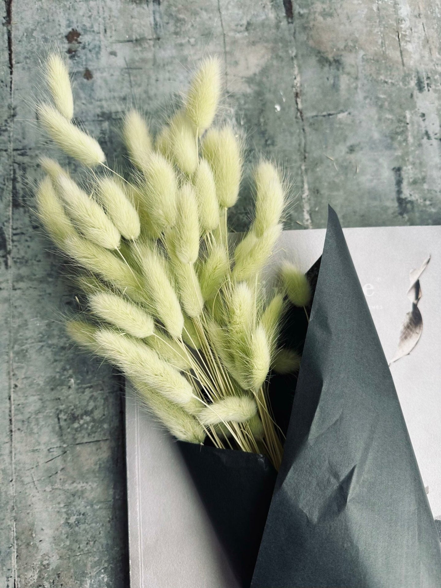 Lagurus – Lime - VIAMAJA.DK