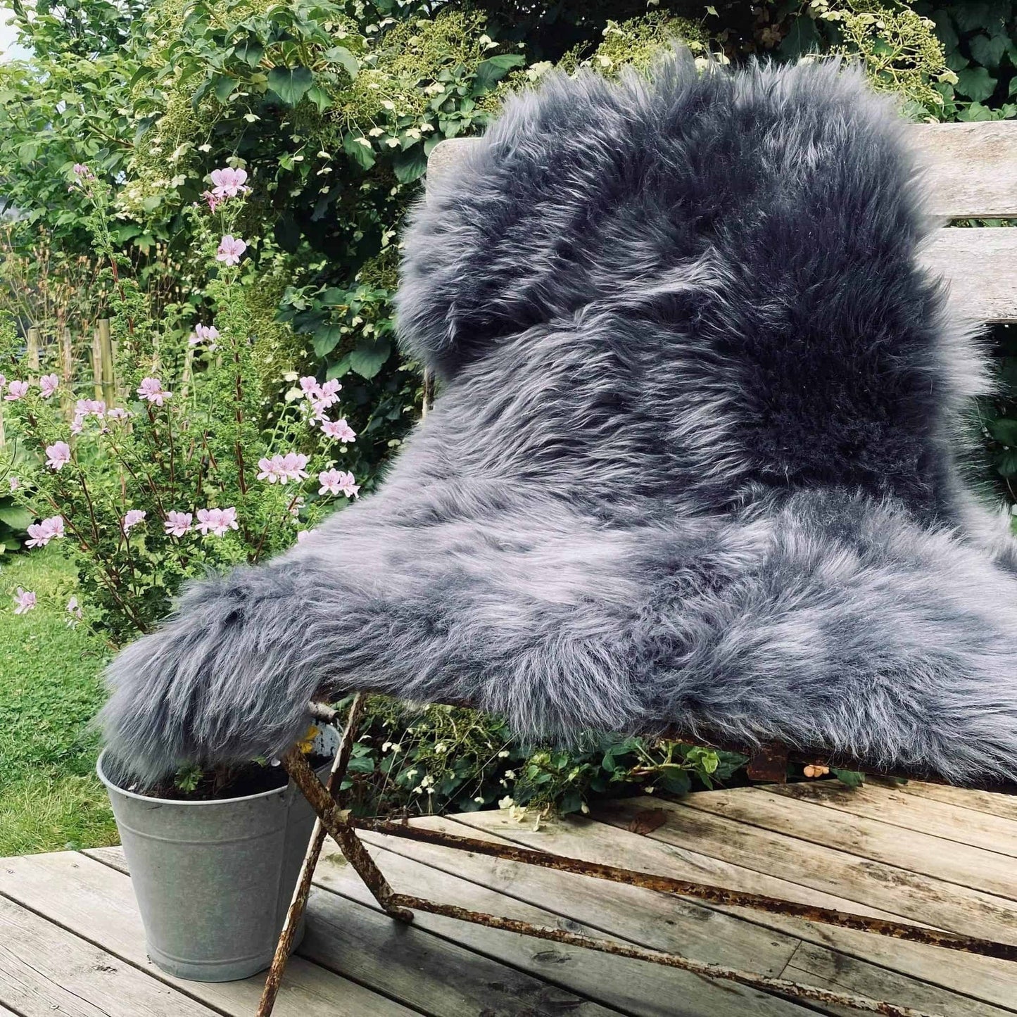 Lammeskind Langhåret Himalaya – Dark Grey - VIAMAJA.DK