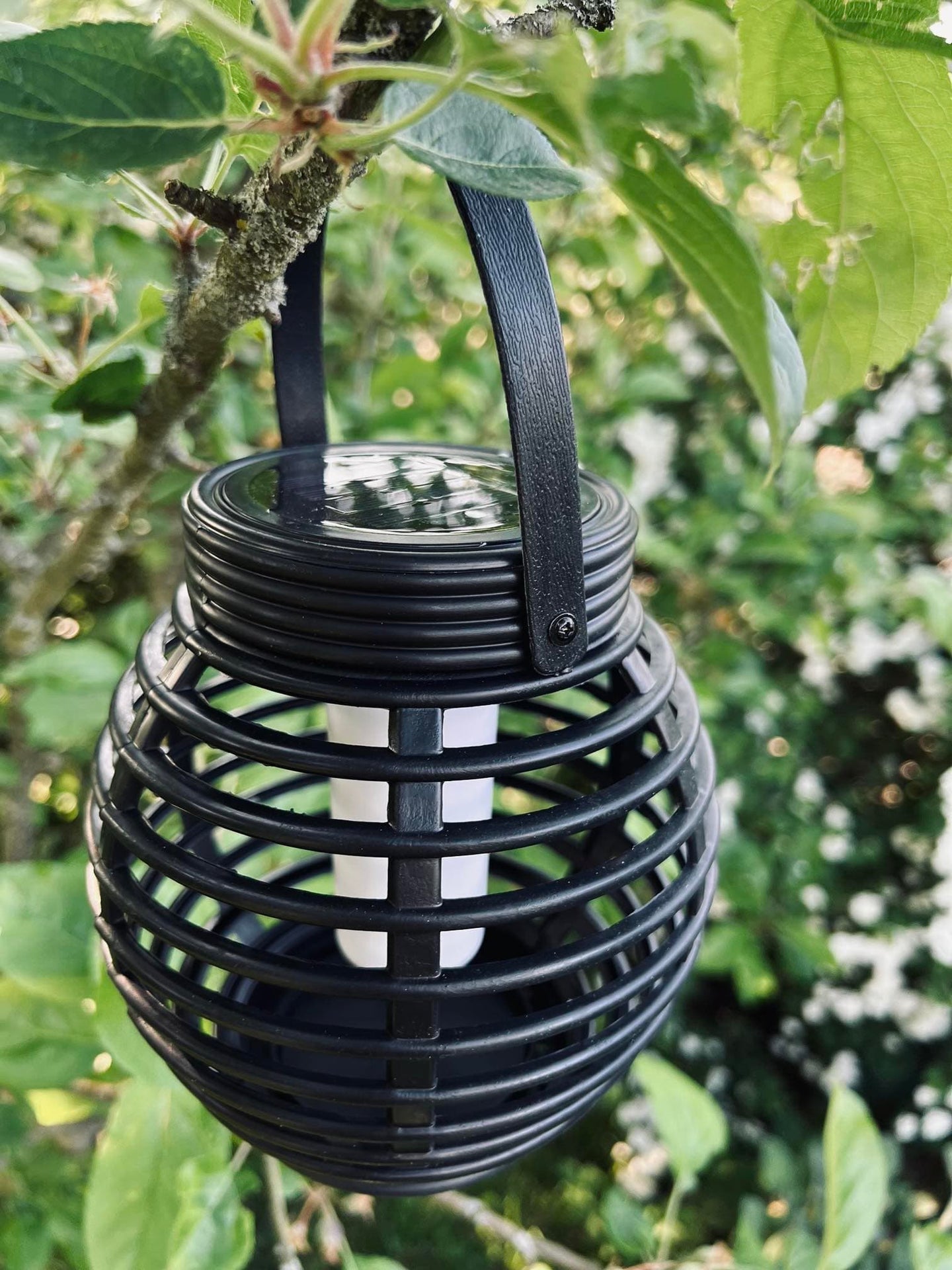 Lanterne med solceller – Mellem TILBUD med 2 stk - VIAMAJA.DK