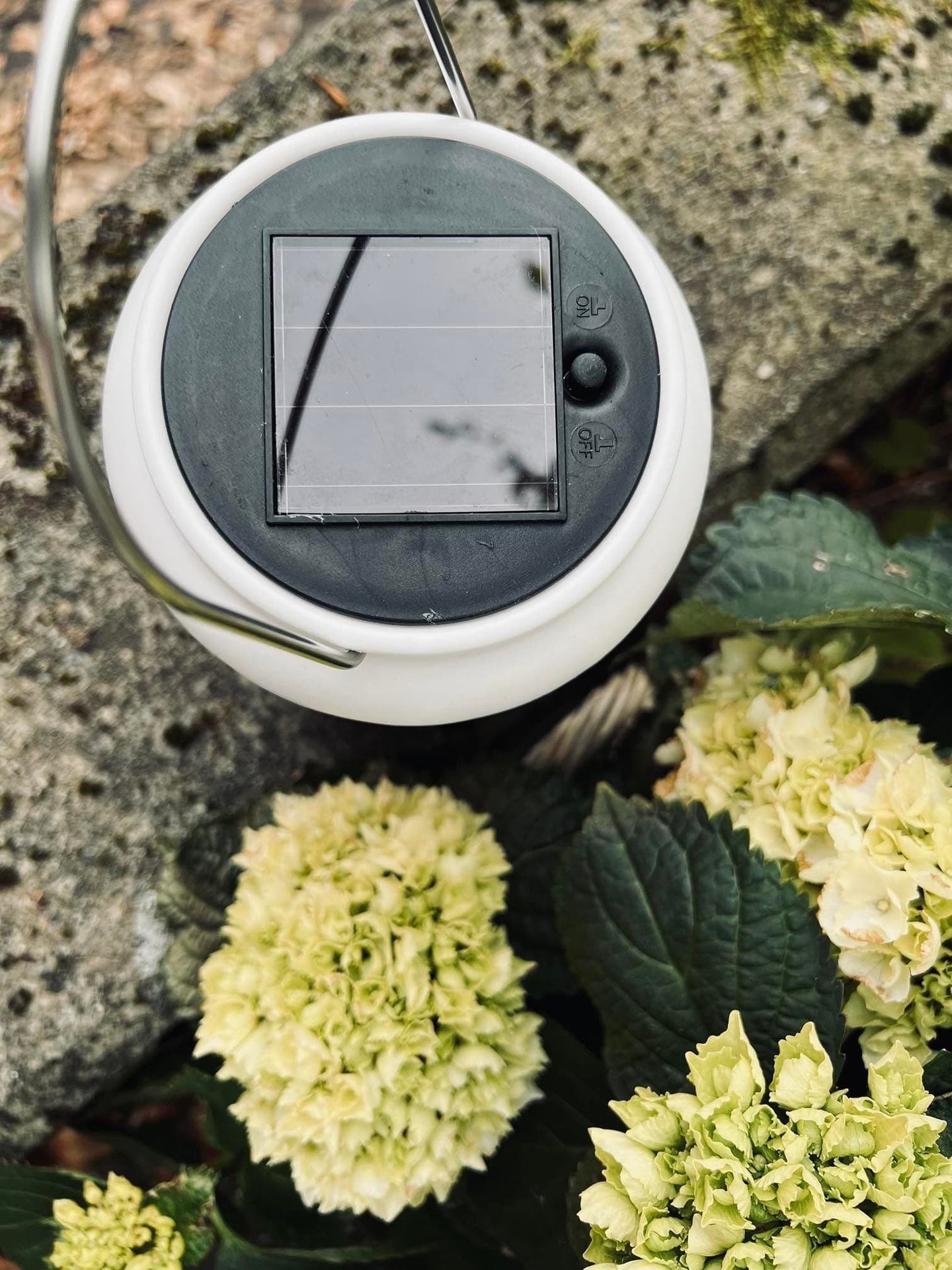 Lanterne med solceller - WHITE BOHEME - VIAMAJA.DK