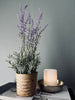 Lavendel im Naturtopf - Dunkellila