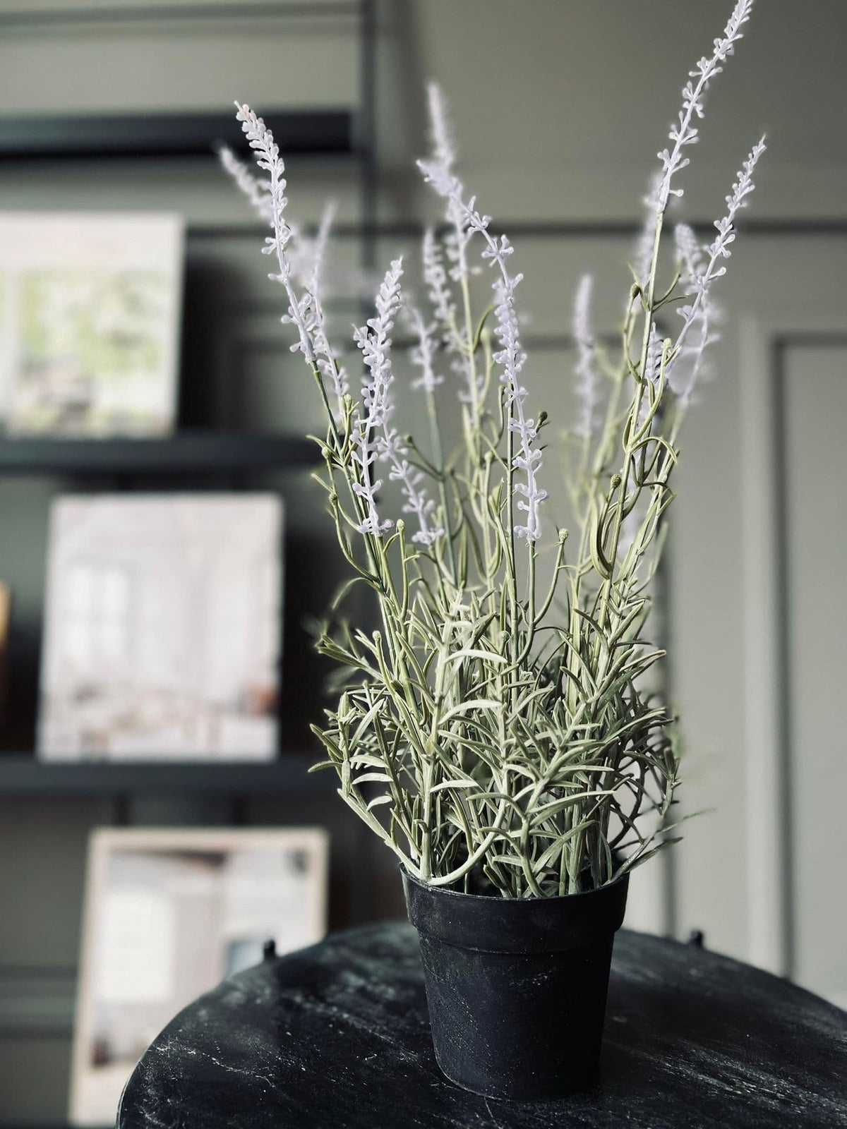 Lavendel mix - H 46cm - VIAMAJA.DK