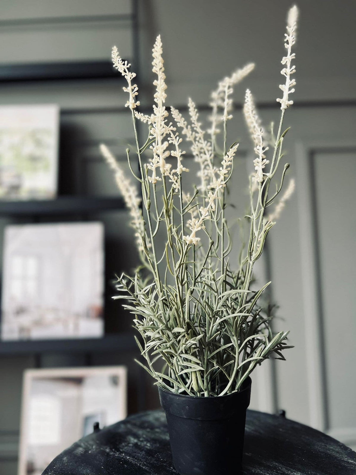 Lavendel mix - H 46cm - VIAMAJA.DK