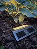 LED-Lichter mit Solarzellen - 4 Stk. Edelstahl