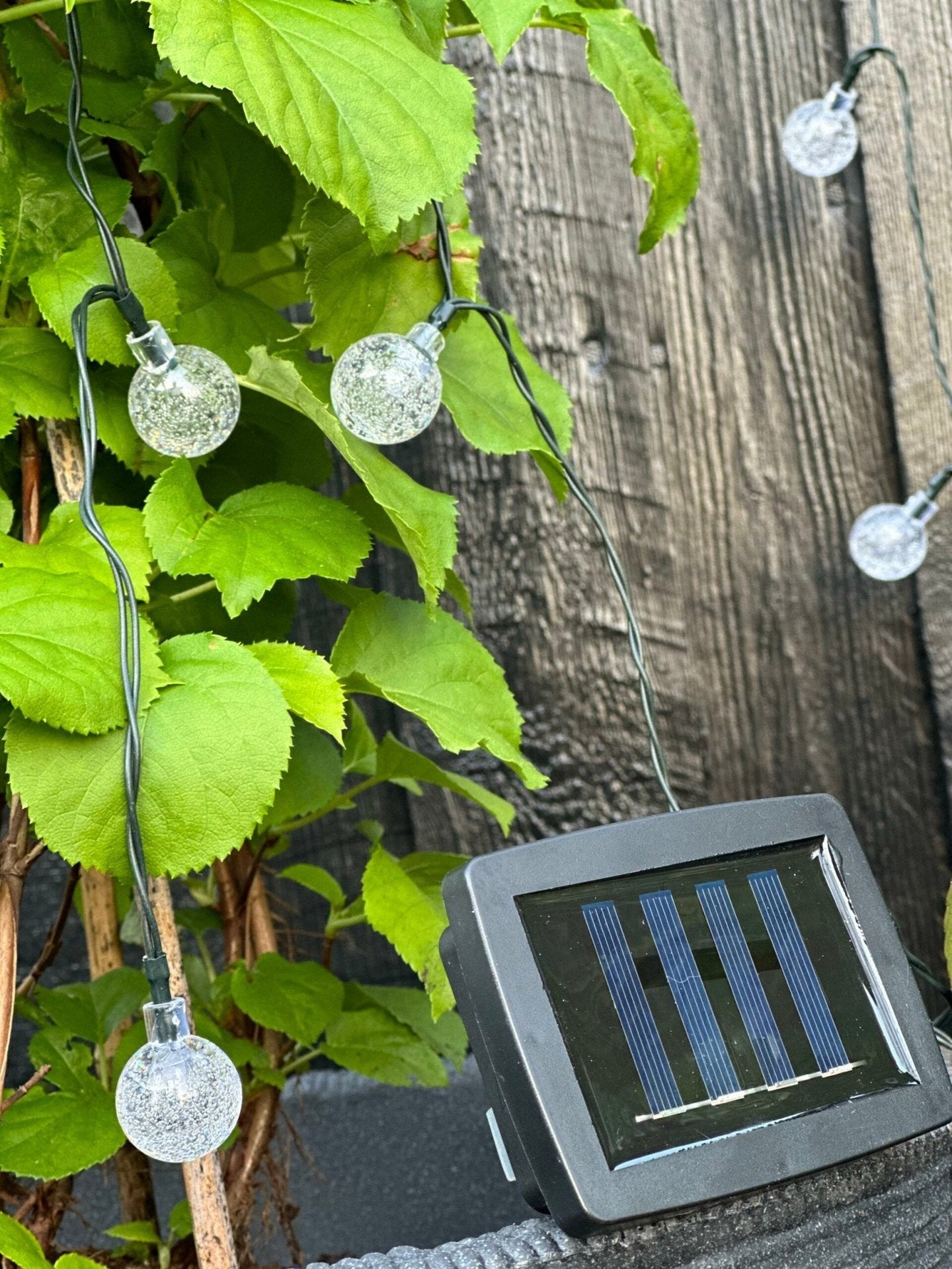 Lyskæde Bella med 50 Pærer – Solceller - VIAMAJA.DK