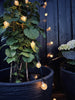 Lichterkette Bella mit 50 Lampen – Solarzellen