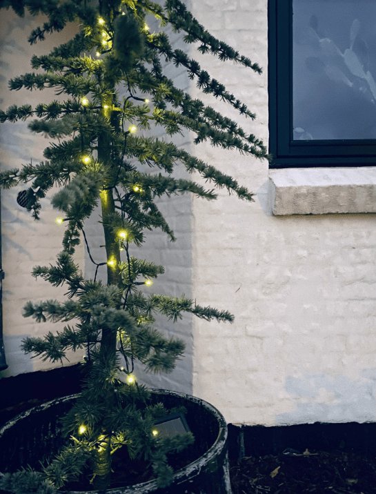 Lyskæde med solceller - Ekstra kraftig med 100 led lys - VIAMAJA.DK