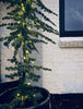 Lichterkette mit Solarzellen - Extra stark mit 100 LEDs