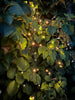 Lichterkette mit Solarzellen - Extra kräftig mit 400 LEDs
