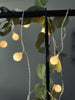 Lichterkette PARTY - 80 LED-Lichter