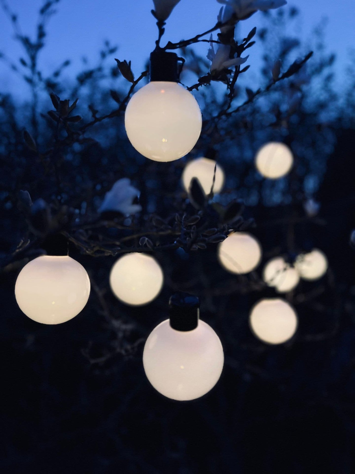 Lyskæde WHITE DOTS - Batteriboks med timer - VIAMAJA.DK