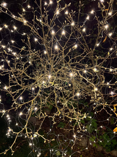 lichternetz aufbewahren Lichternetz mit 240 LEDs