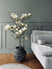Magnolienbaum im Topf - 120 cm Weiß / Limette