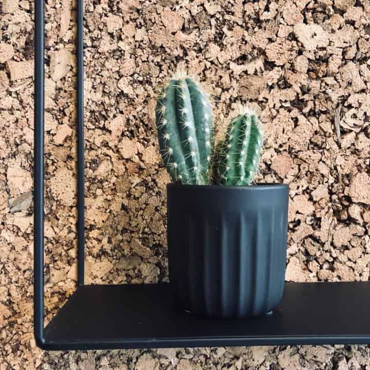 Mini potte - Mat sort - 7x7 - VIAMAJA