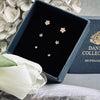 Mix box Lia vergoldetes Sterlingsilber