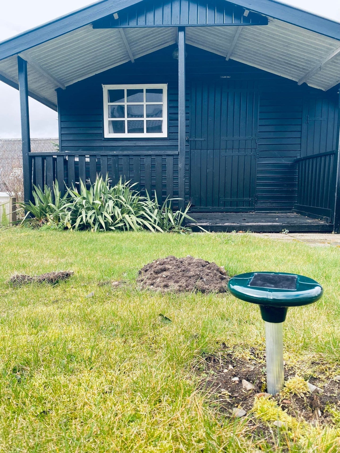 Muldvarpe afskrækker med solceller - Grøn - VIAMAJA.DK