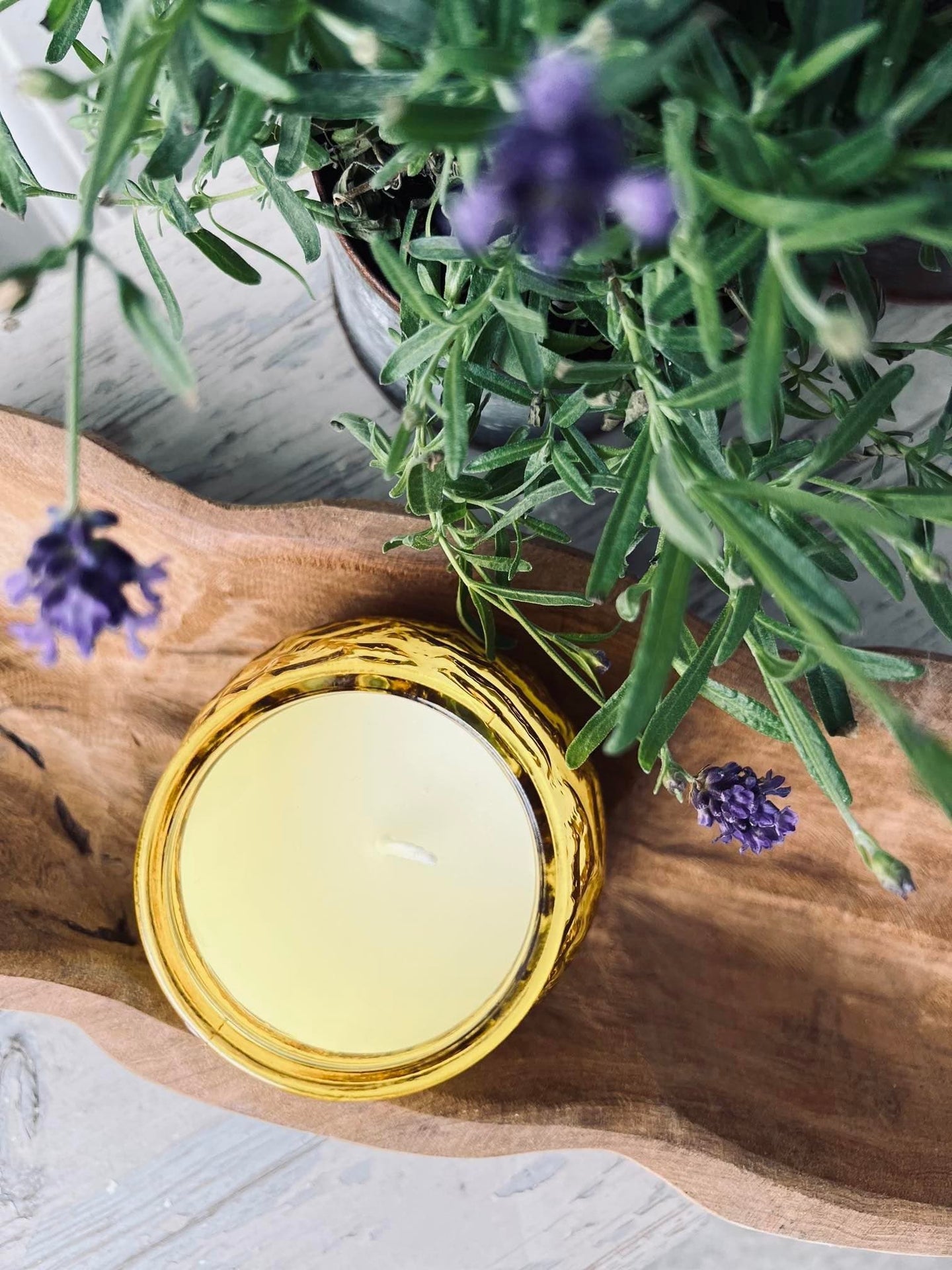 Myggelys Citronella i farvet glas - GUL - VIAMAJA.DK