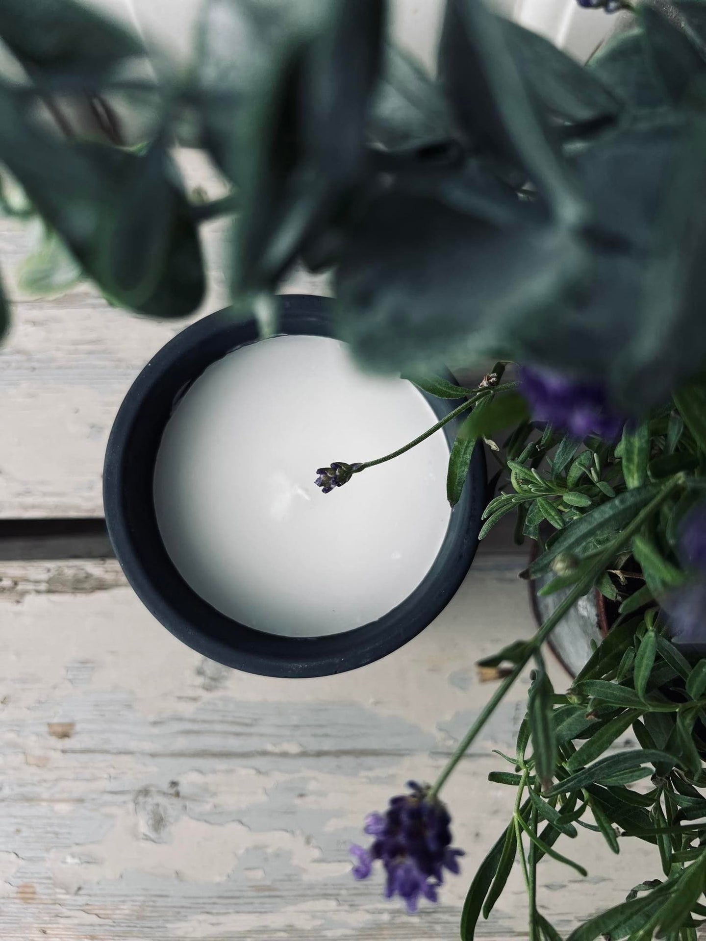 Myggelys - Citronella & Sea salt - VIAMAJA.DK