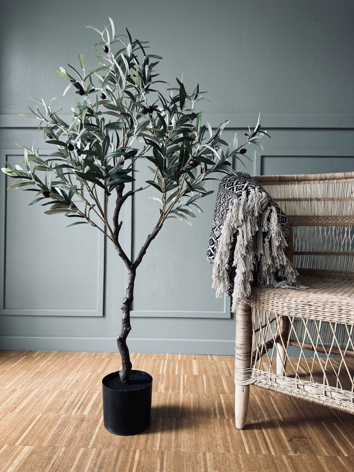 Olivenbaum 120 cm - VIAMAJA.DK