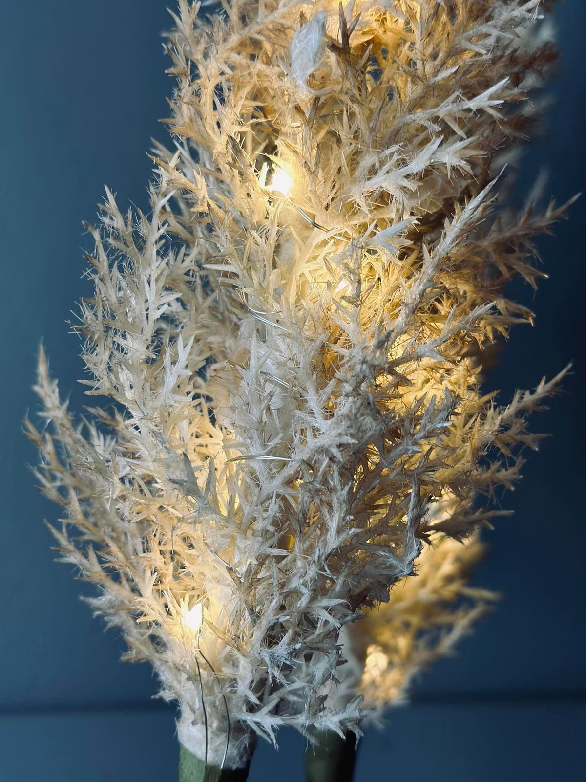 Pampas med LED lys og timerfunktion - VIAMAJA.DK