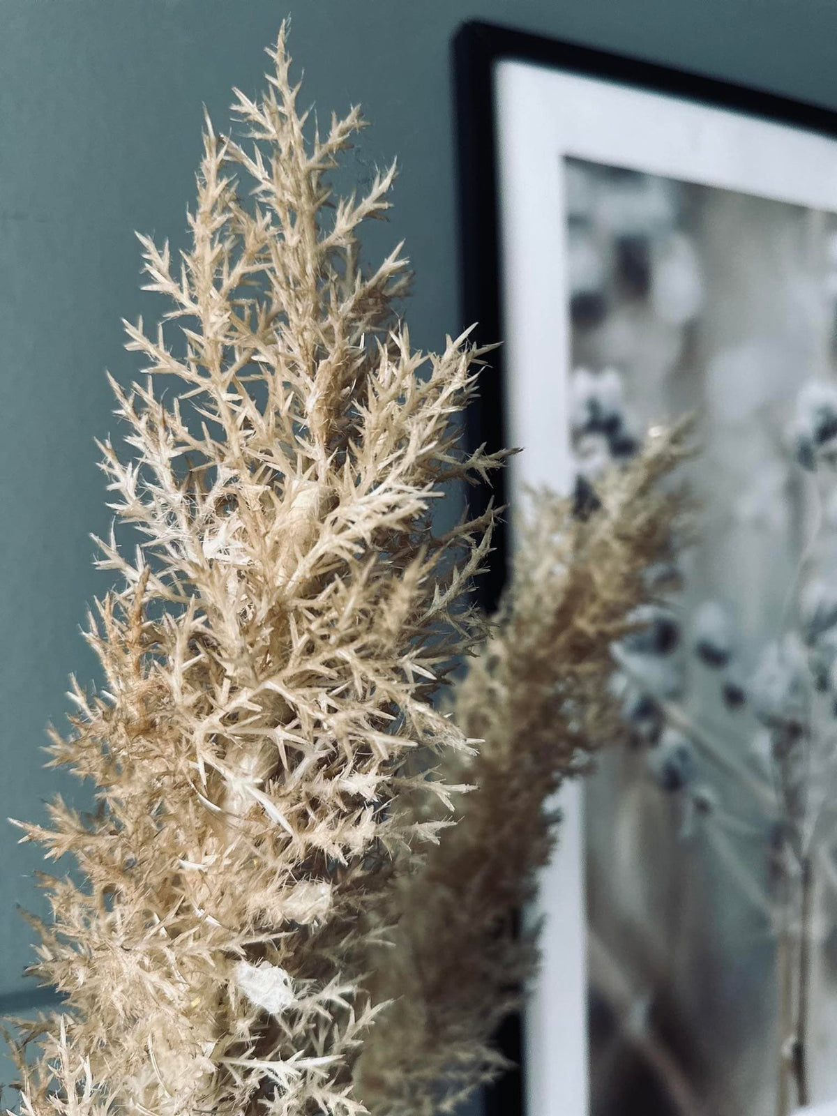 Pampas med LED lys og timerfunktion - VIAMAJA.DK