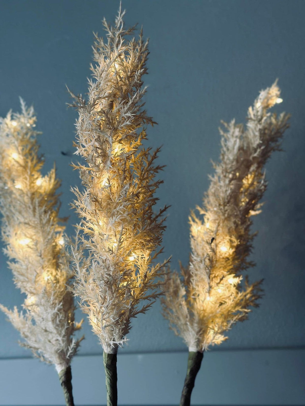 Pampas med LED lys og timerfunktion - VIAMAJA.DK