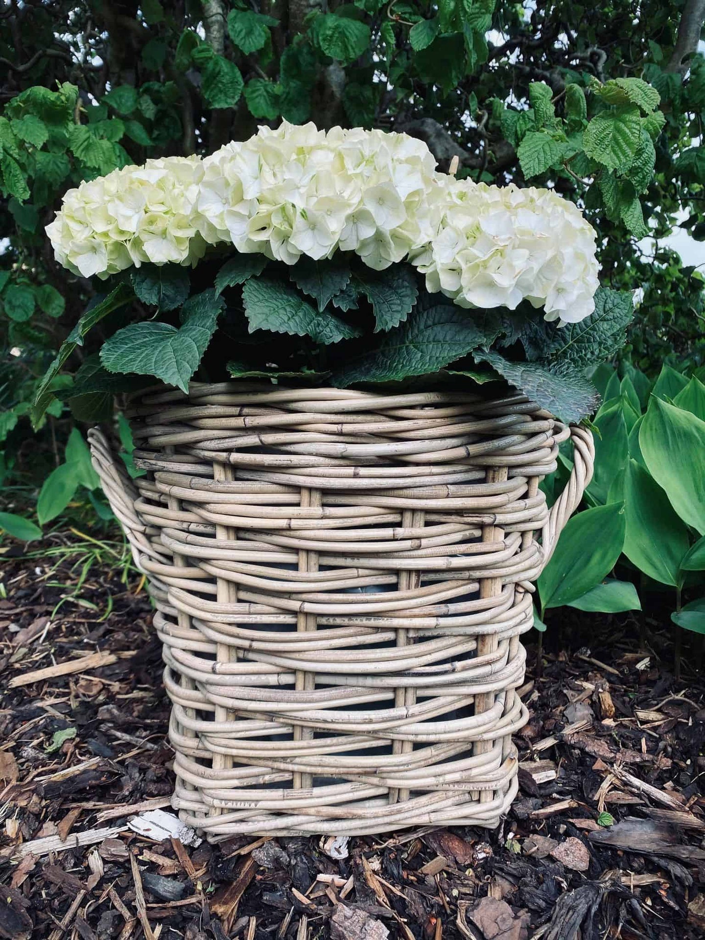 Plantekurv - Grå Rattan - Stor - VIAMAJA.DK