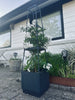 Pflanzenturm für Tomaten und Kletterpflanzen