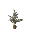 Seidenfichte mit LED – Licht 75cm
