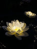 Solar-LOTUS - Set mit 2 Stk