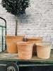 Terracotta-Set aus 4 Töpfen - ABHOL-ANGEBOT