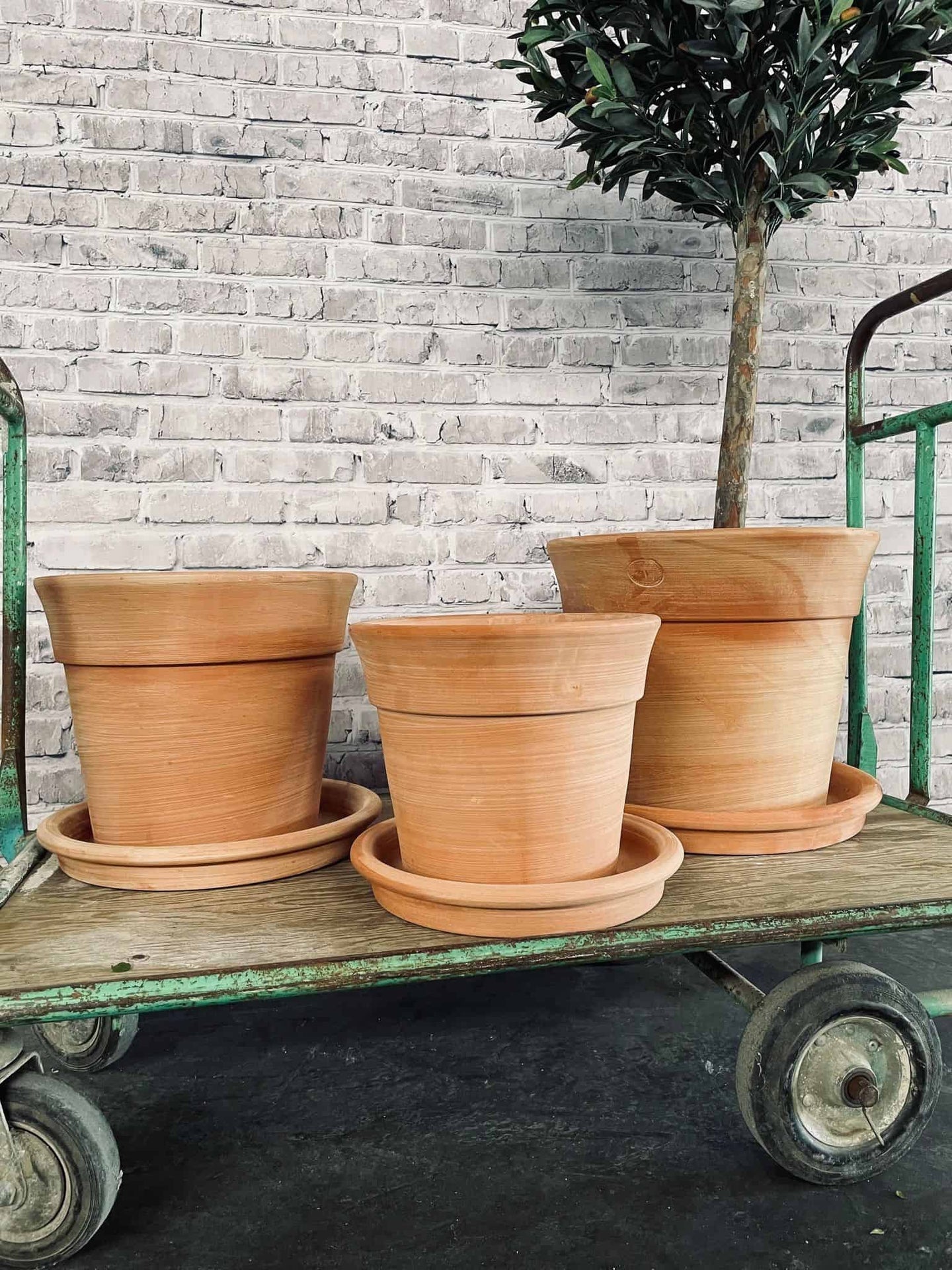 Terracotta sæt med underskåle - Bred kant - VIAMAJA.DK