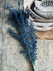 Getrocknete Blumen – Blau-Mix