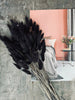 Getrocknete Blumen – Black