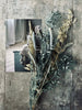 Getrocknete Blumen – Blue mix