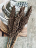 Getrocknete Blumen – Braun