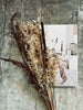 Getrocknete Blumen – Brown Mix